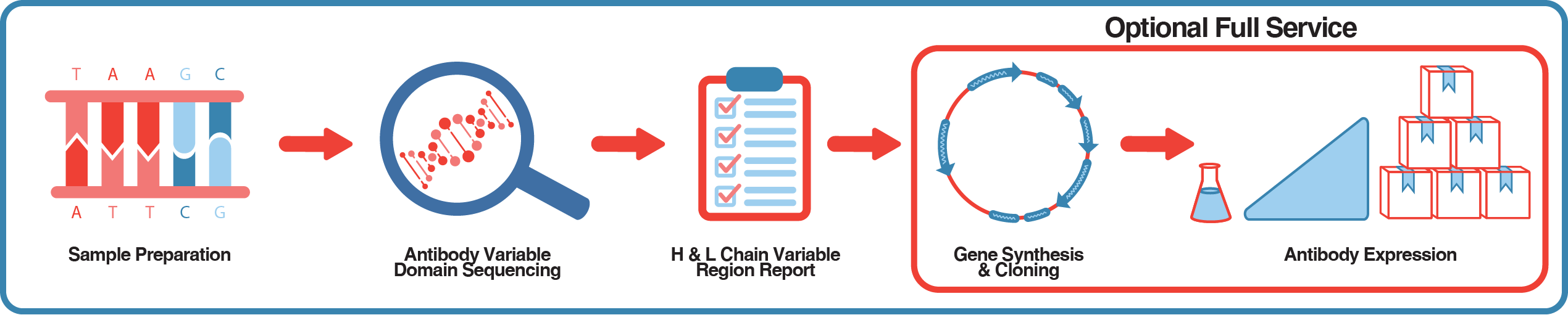 B-cell sequencing service process graph